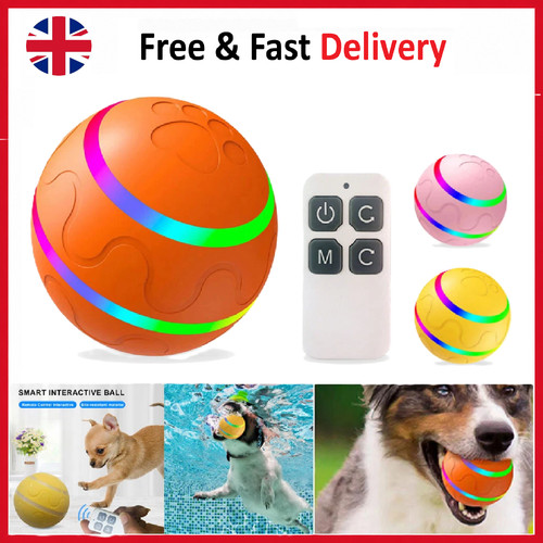 Dog ball interactive toys - dog,