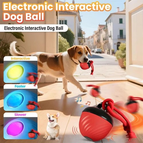 Intelligent dog toy ball - intelligent,