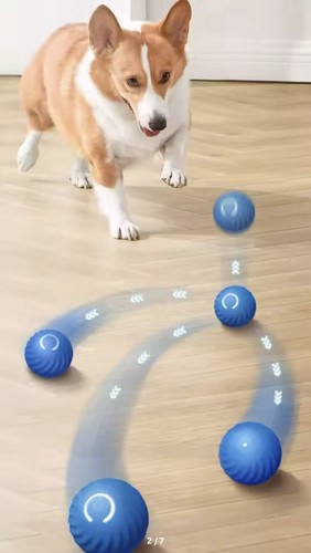 Automatic moving dog toy ball - automatic,