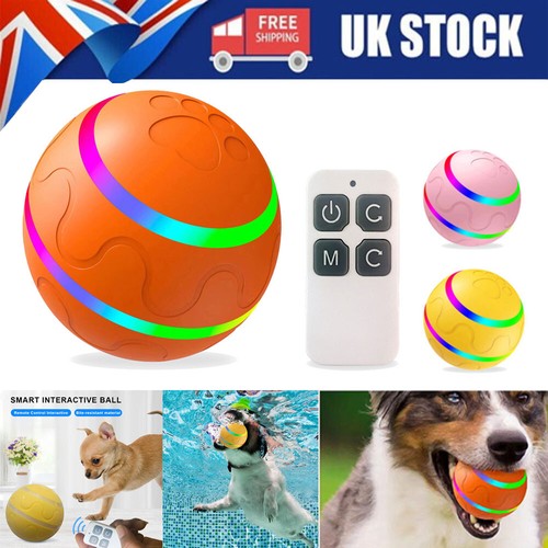 Dog ball interactive - ball, toys