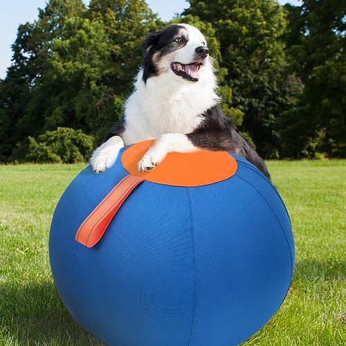 45cm giant dog herding ball - giant,
