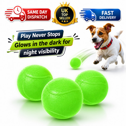 Pack dog play ball - 3,