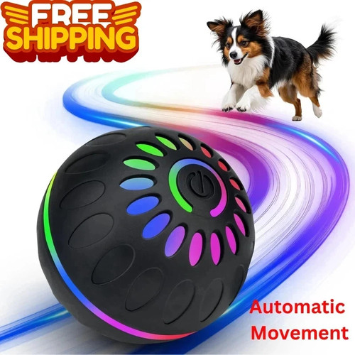 Interactive dog toys ball - toys, ball,