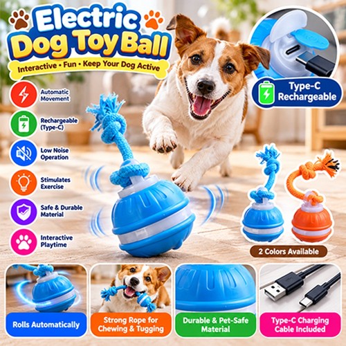 Chase buddy dog - chase,