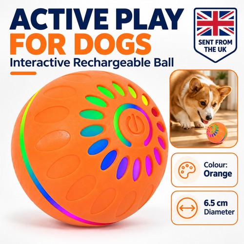 Interactive dog ball auto - interactive,