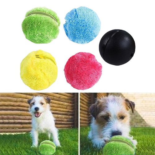 Automatic rolling ball dog - rolling,