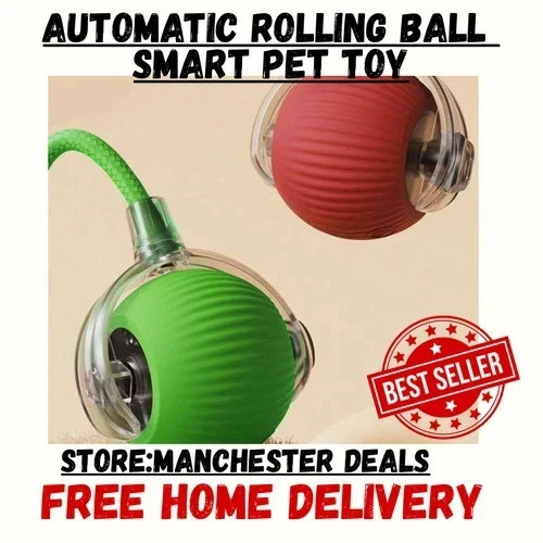 Interactive dog cat toy - interactive,