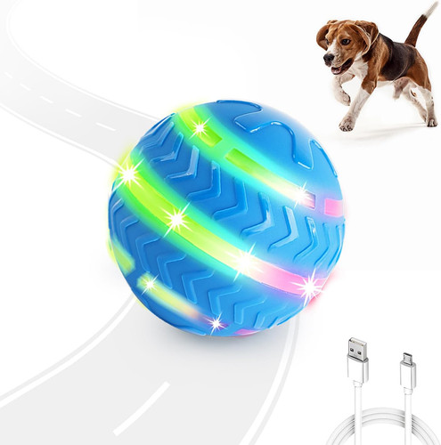 All for paws interactive - for, dog