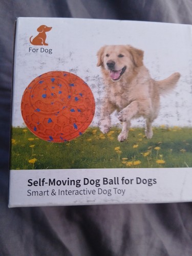 Self moving dog ball for - self,