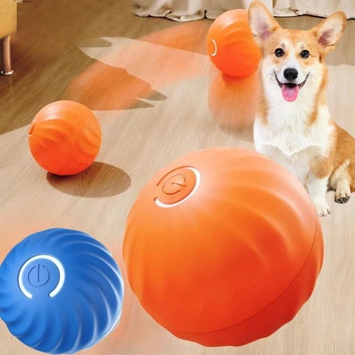 Automatic rolling ball - rolling, dog