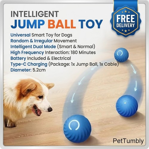Interactive dog toy ball - interactive, usb
