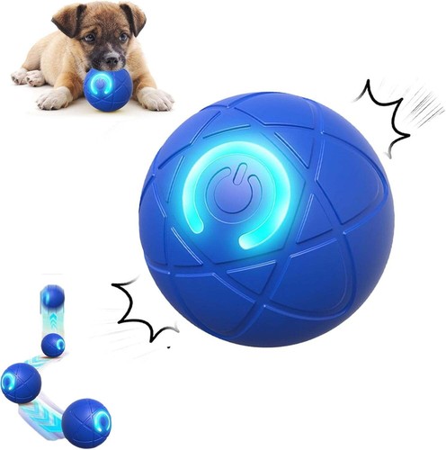 Smart dog puppy bouncing - puppy,