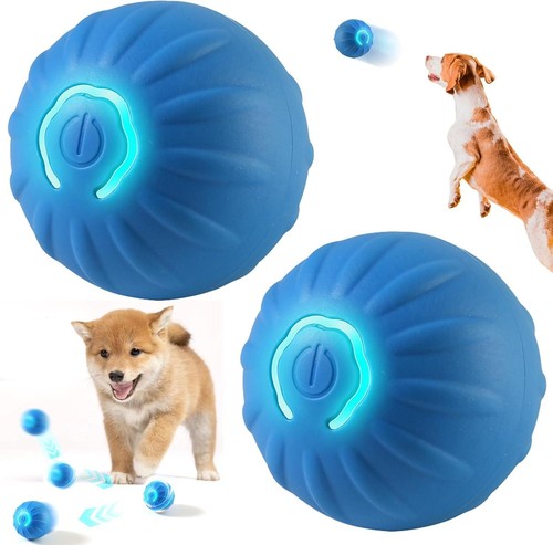 Self moving dog ball - moving,