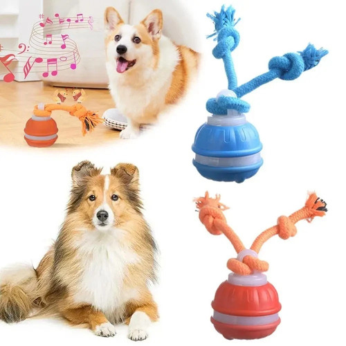 Automatic moving pets dog - dog, ball