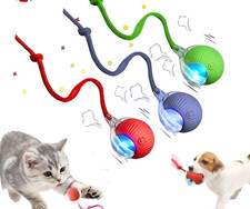 Automatic Rolling Ball Smart