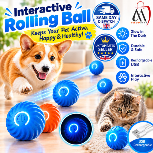 Smart interactive dog - smart,