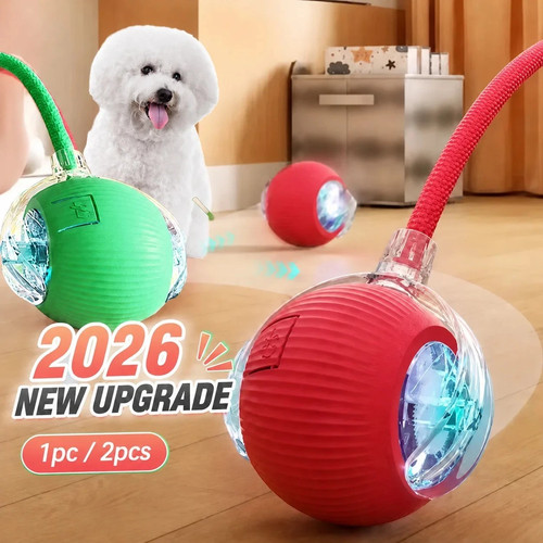 Automatic dog ball - dog, toy