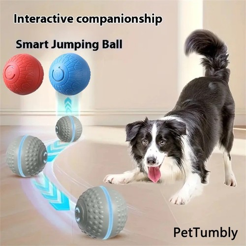 Interactive dog toys - dog,