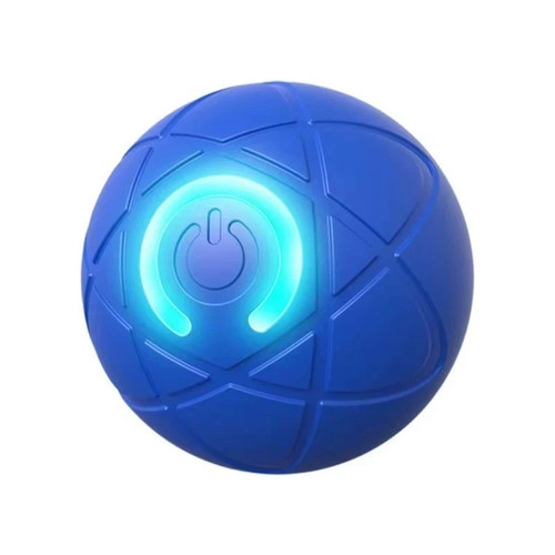 Smart dog puppy bouncing - smart,