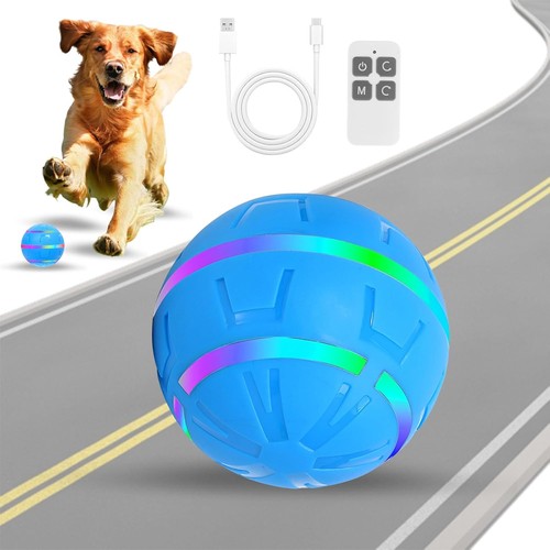 Interactive dog ball - dog, toys