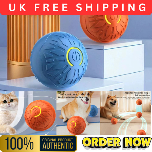 Smart dog toy - toy, ball