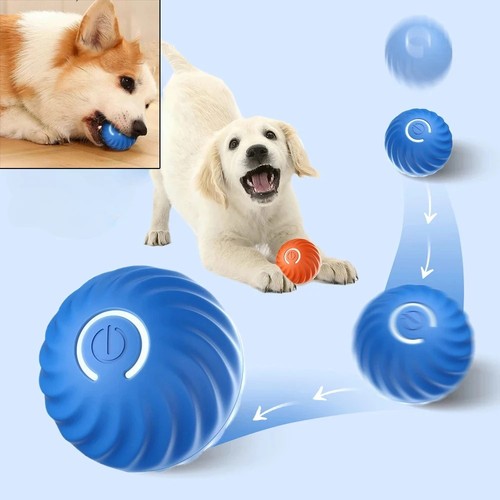 Pet toy ball automatic - pet,
