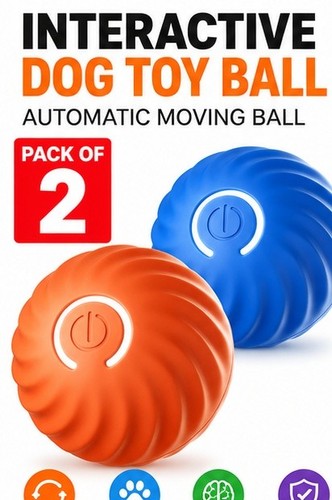 Pack interactive - of,