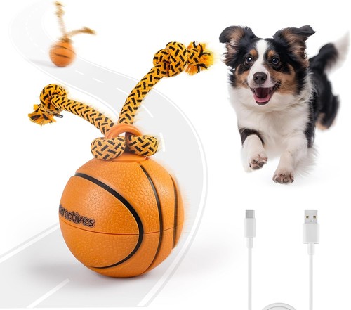All for paws interactive dog - paws,