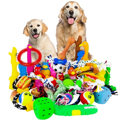 Assorted dog puppy - dog, toy