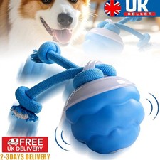 Interactive Dog Toys Ball