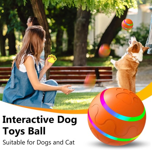 Interactive dog ball toy - interactive,