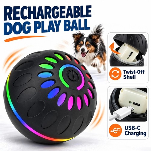 Automatic moving dog - dog, toy