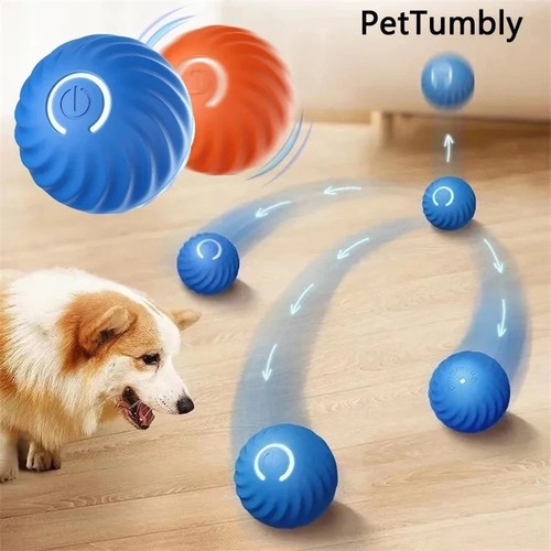 Smart interactive dog - smart,