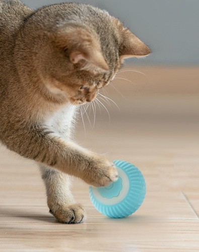 Smart electric rolling ball - smart,