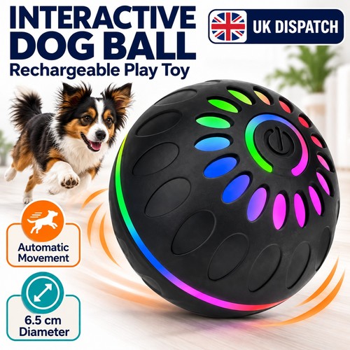 Interactive dog toy ball - dog,