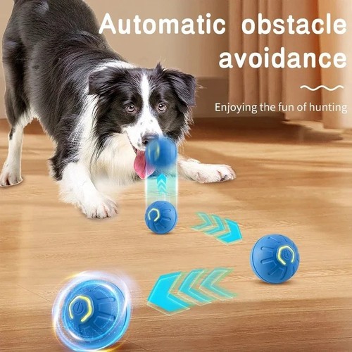 Smart dog toy - ball, automatic