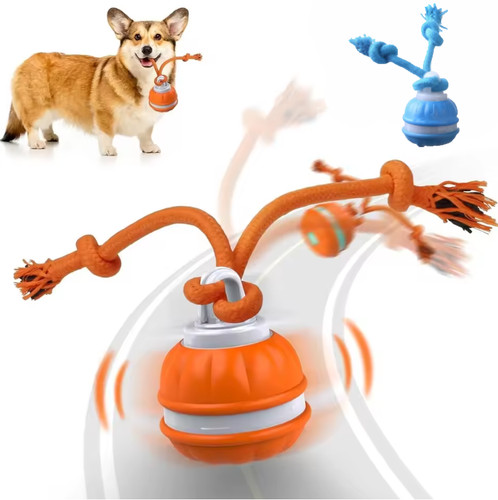 Automatic moving pets dog - moving,