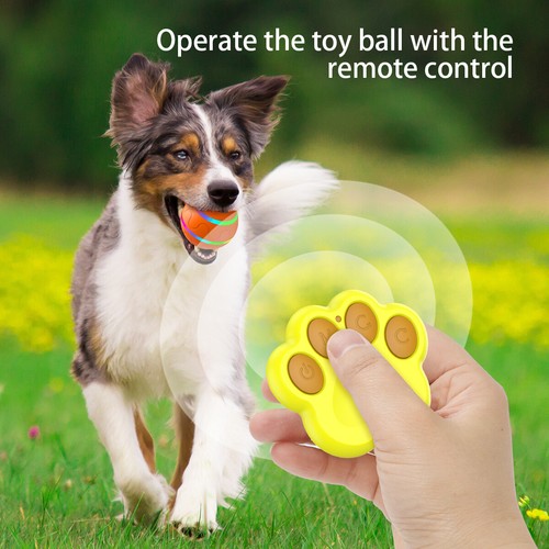 Interactive dog ball - interactive, toy