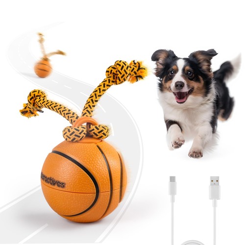 All for paws - paws, interactive