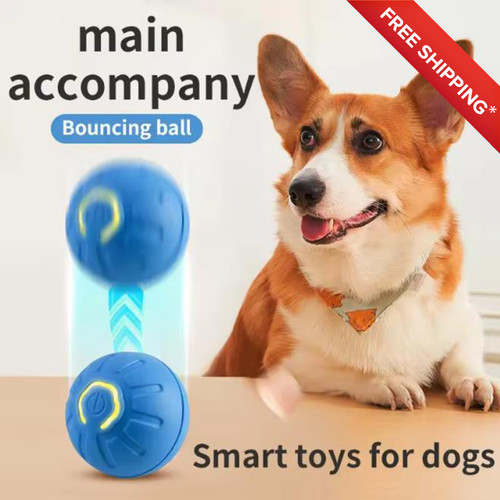 Electronic pet toy ball - electronic,