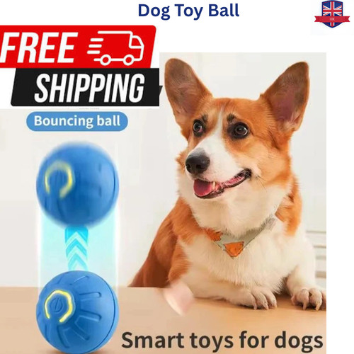 Smart interactive dog toy ball - interactive,
