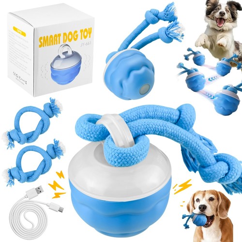 Interactive dog ball - interactive,