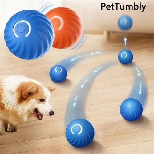Smart dog toys - smart, electronic