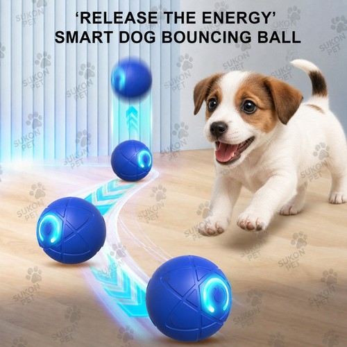 Automatic interactive dog toy - automatic,