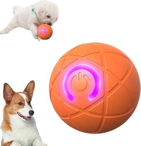 Smart dog puppy - smart, toy