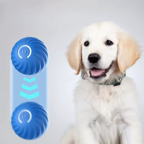 Pet toy ball - pet,