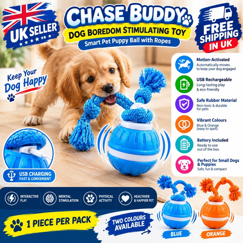 Chase buddy dog - chase,