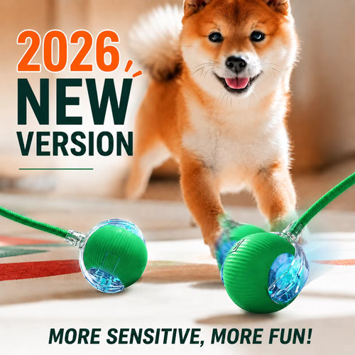 Automatic rolling ball - rolling, cat