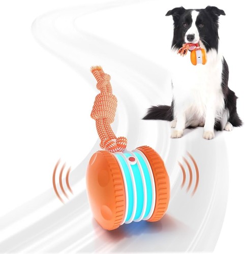 Interactive dog ball - dog, random