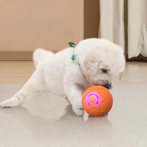 5xdog toy ball usb - toy,